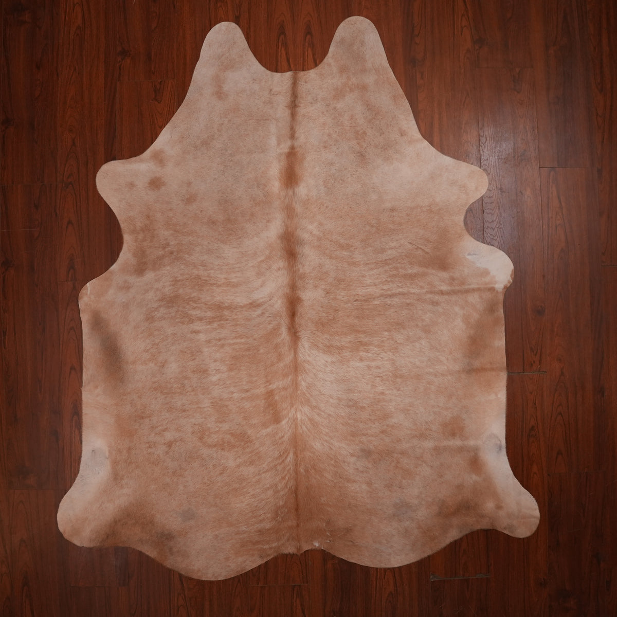 Soft Mottled Caramel cow hide rug, 217 x 192 cm, genuine cowhide