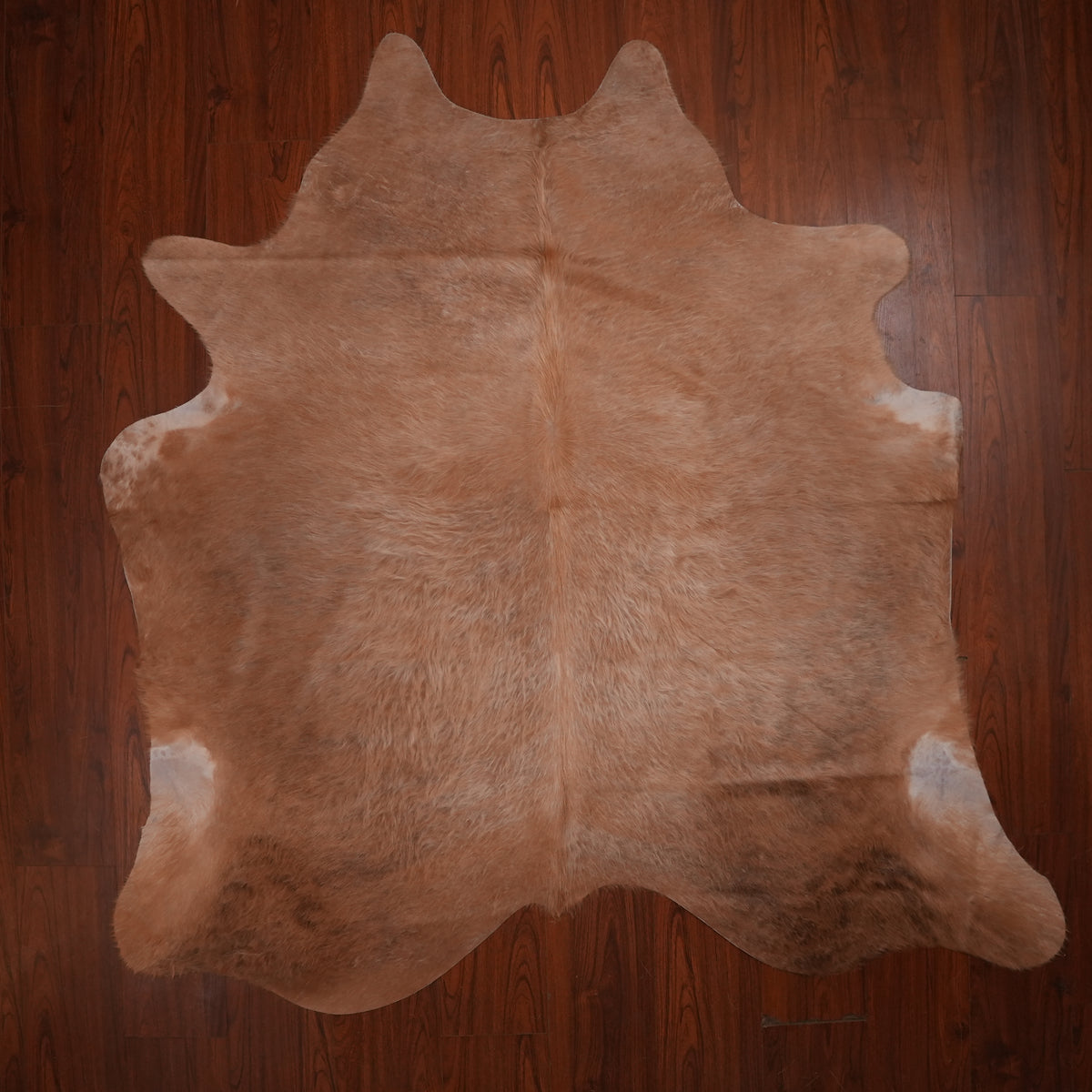 Caramel cow hide rug, 220 x 213 cm, genuine cowhide