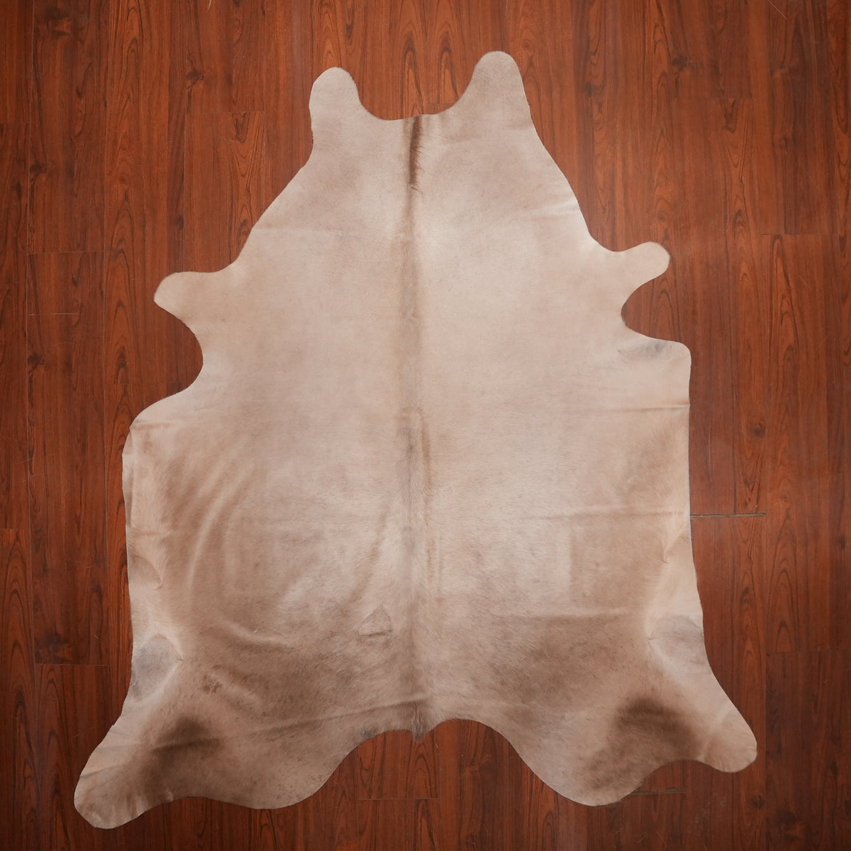 Tonal Solid Caramel cow hide rug, 236 x 202 cm, genuine cowhide