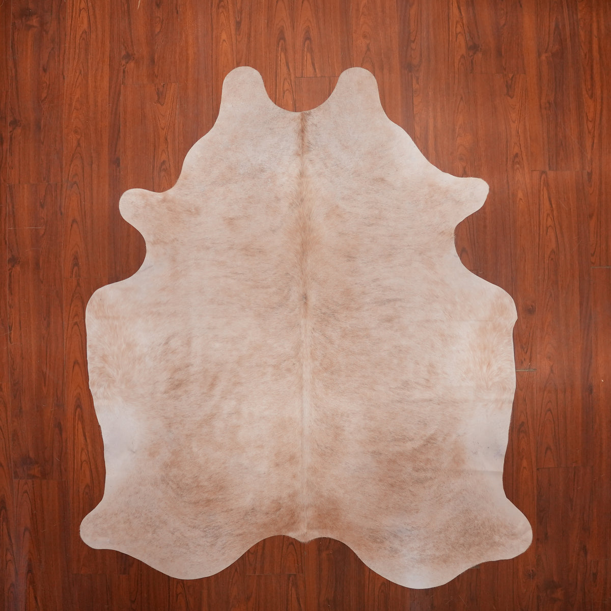 Soft Brindle Champagne cow hide rug, 210 x 186 cm, genuine cowhide
