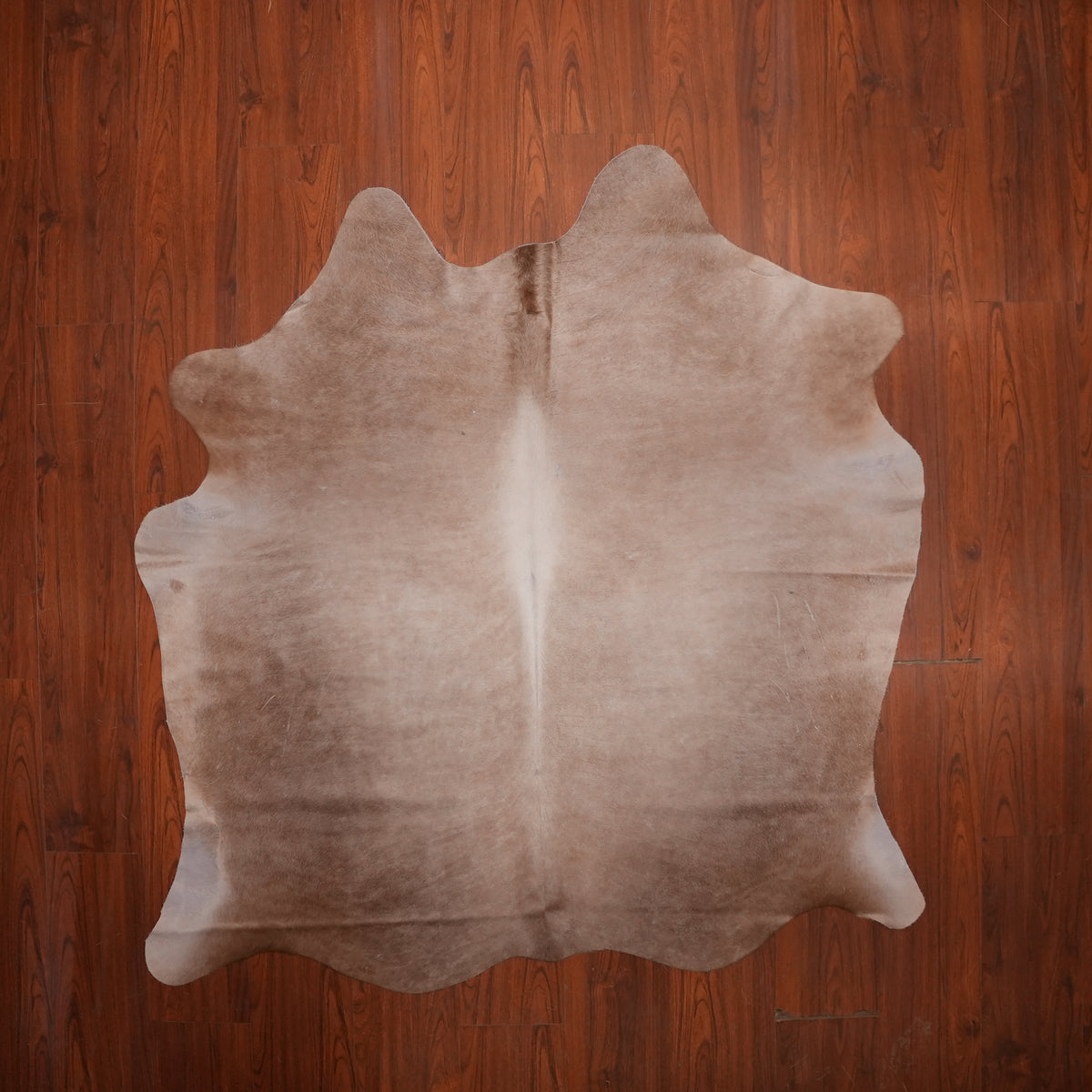 Soft Taupe Dun cow hide rug, 189 x 179 cm, genuine cowhide