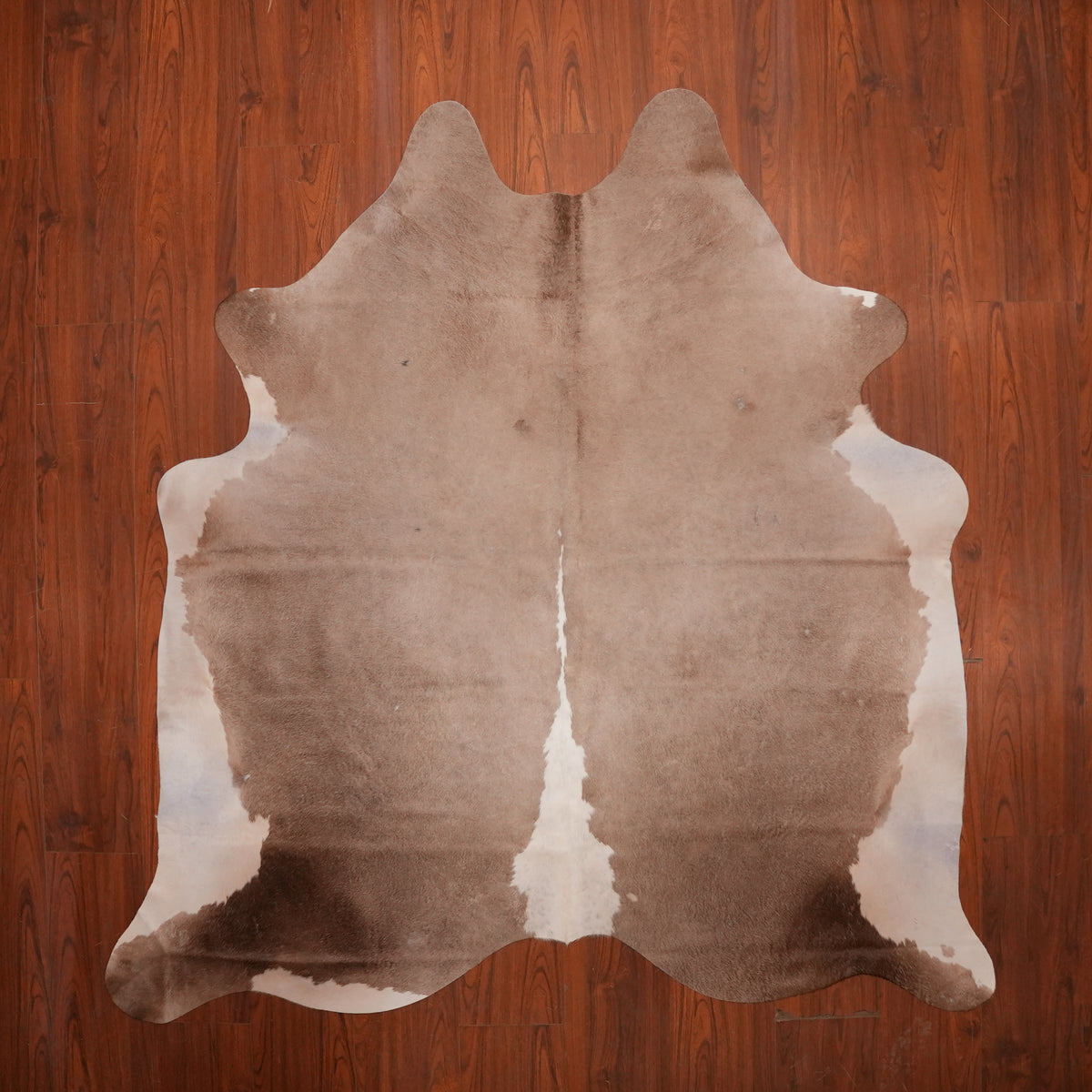 Soft Taupe Dun cow hide rug, 223 x 205 cm, genuine cowhide
