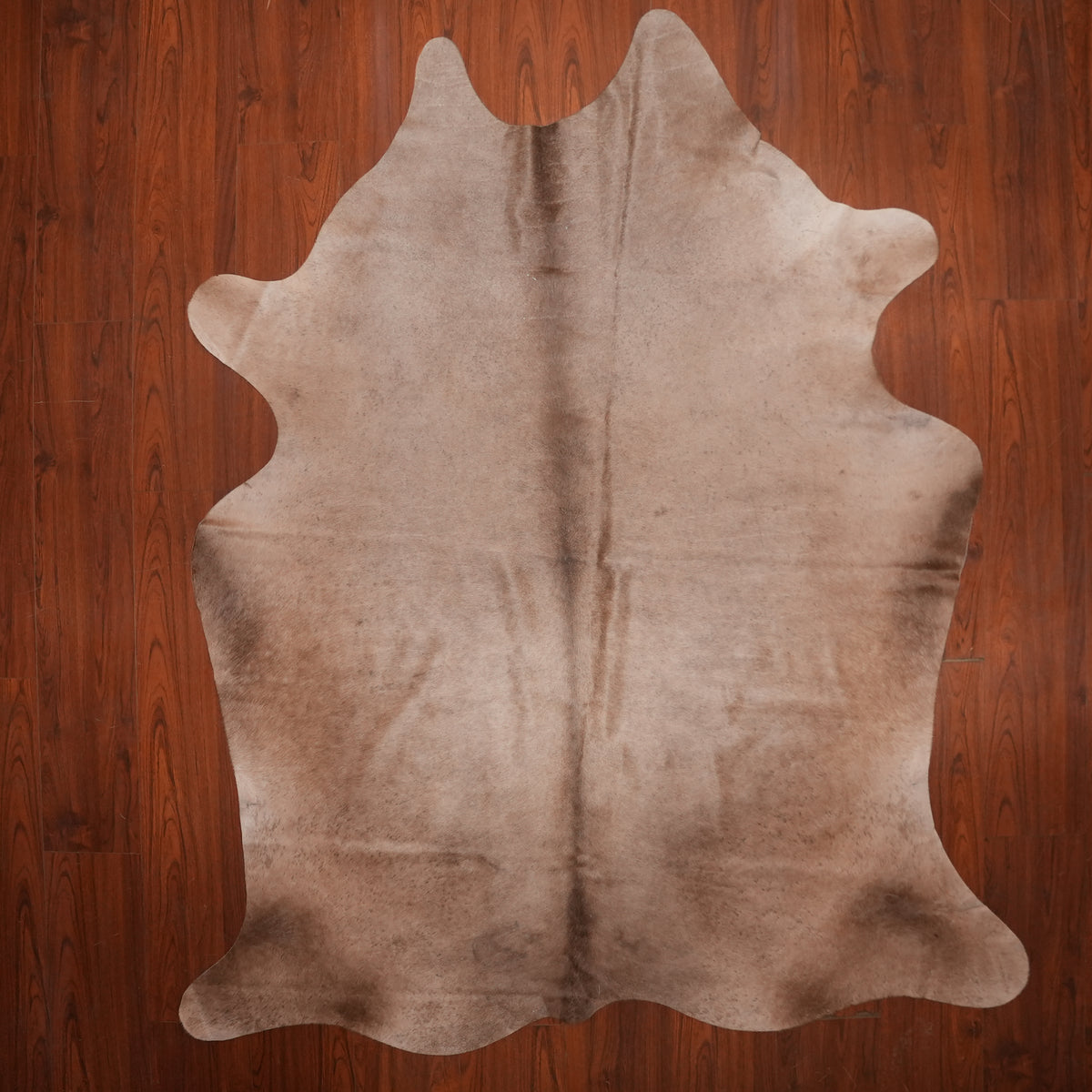 Soft Taupe Dun cow hide rug, 233 x 195 cm, genuine cowhide