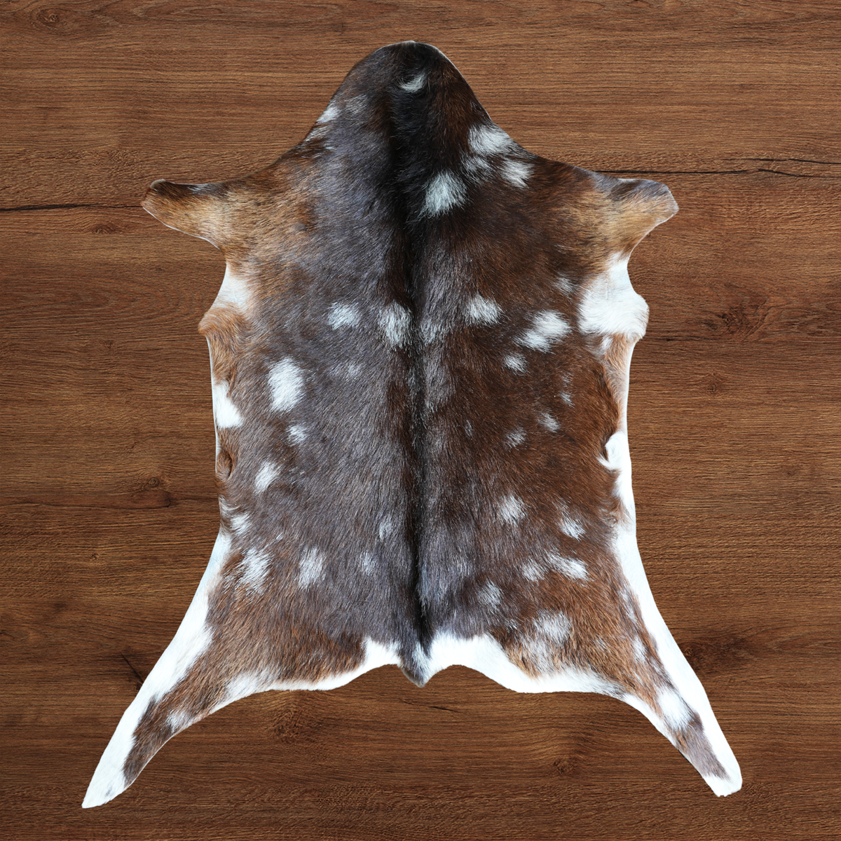A goat hide with a brown and white spotted pattern, laid flat on a dark wood background.