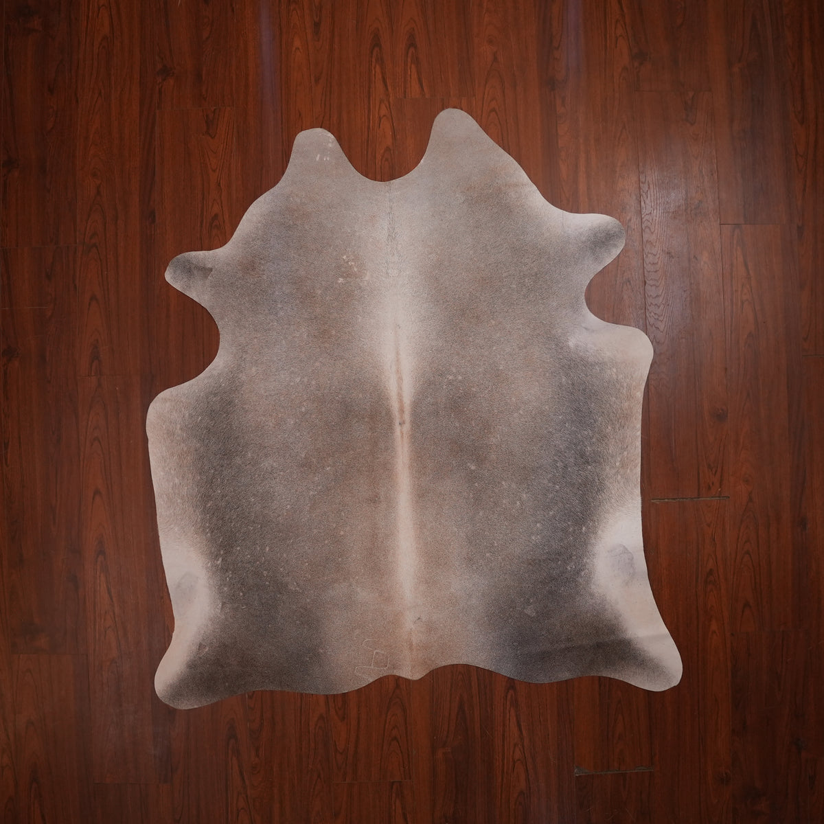 Misty Gradient Grey cow hide rug, 167 x 156 cm, genuine cowhide