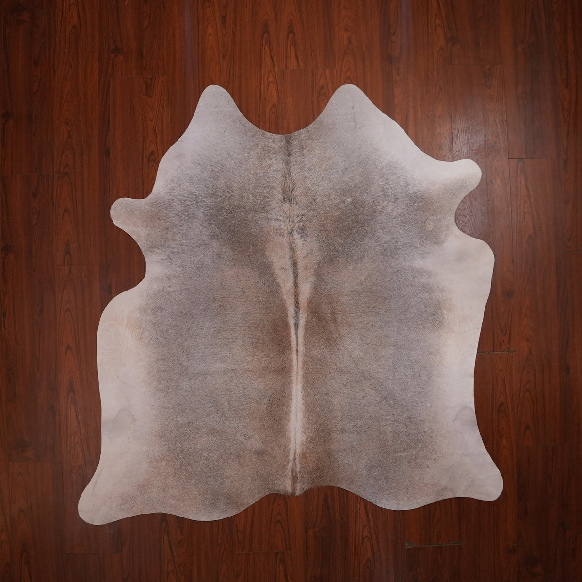 Soft Dove Grey cow hide rug, 182 x 181 cm, genuine cowhide