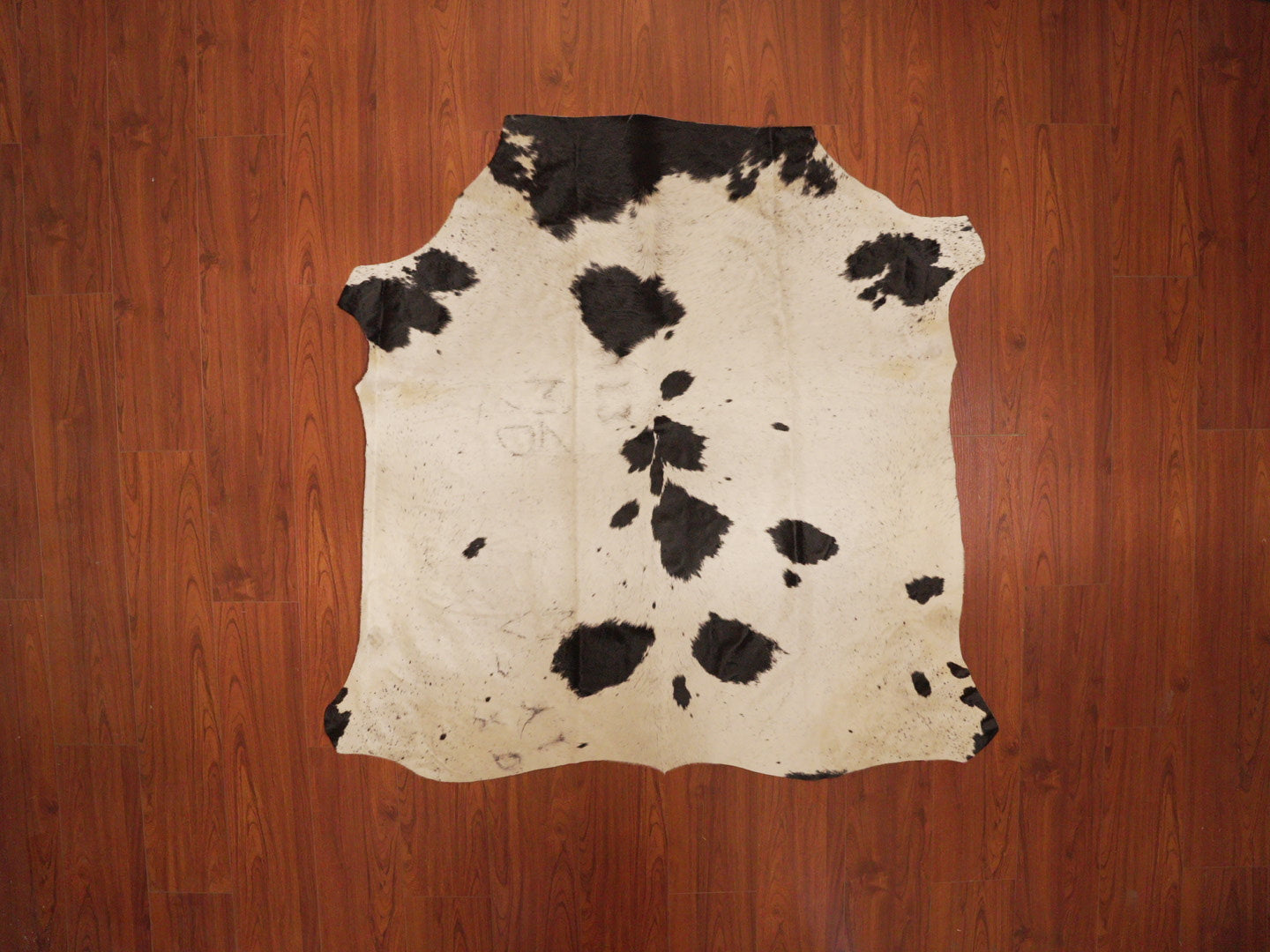 The Nguni Guy Nguni cowhide African decor Authentic cowhide Home decor Interior design Unique pattern Hand-selected Premium quality Natural beauty Exotic rug Genuine hide Statement piece Contemporary style Ethically sourced Sustainable decor Versatile accent Luxury rug Designer piece Modern aesthetic High-end craftsmanship Timeless elegance Designer home accents