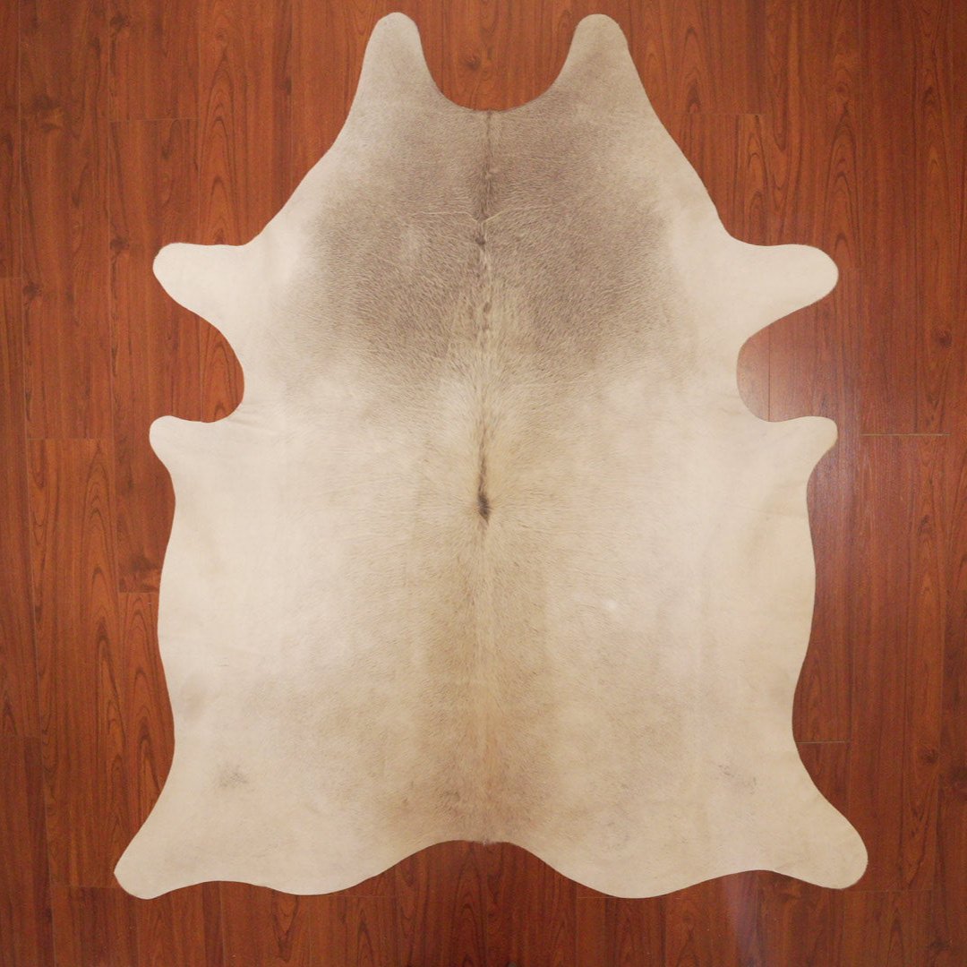 The Nguni Guy Nguni cowhide African decor Authentic cowhide Home decor Interior design Unique pattern Hand-selected Premium quality Natural beauty Exotic rug Genuine hide Statement piece Contemporary style Ethically sourced Sustainable decor Versatile accent Luxury rug Designer piece Modern aesthetic High-end craftsmanship Timeless elegance Designer home accents