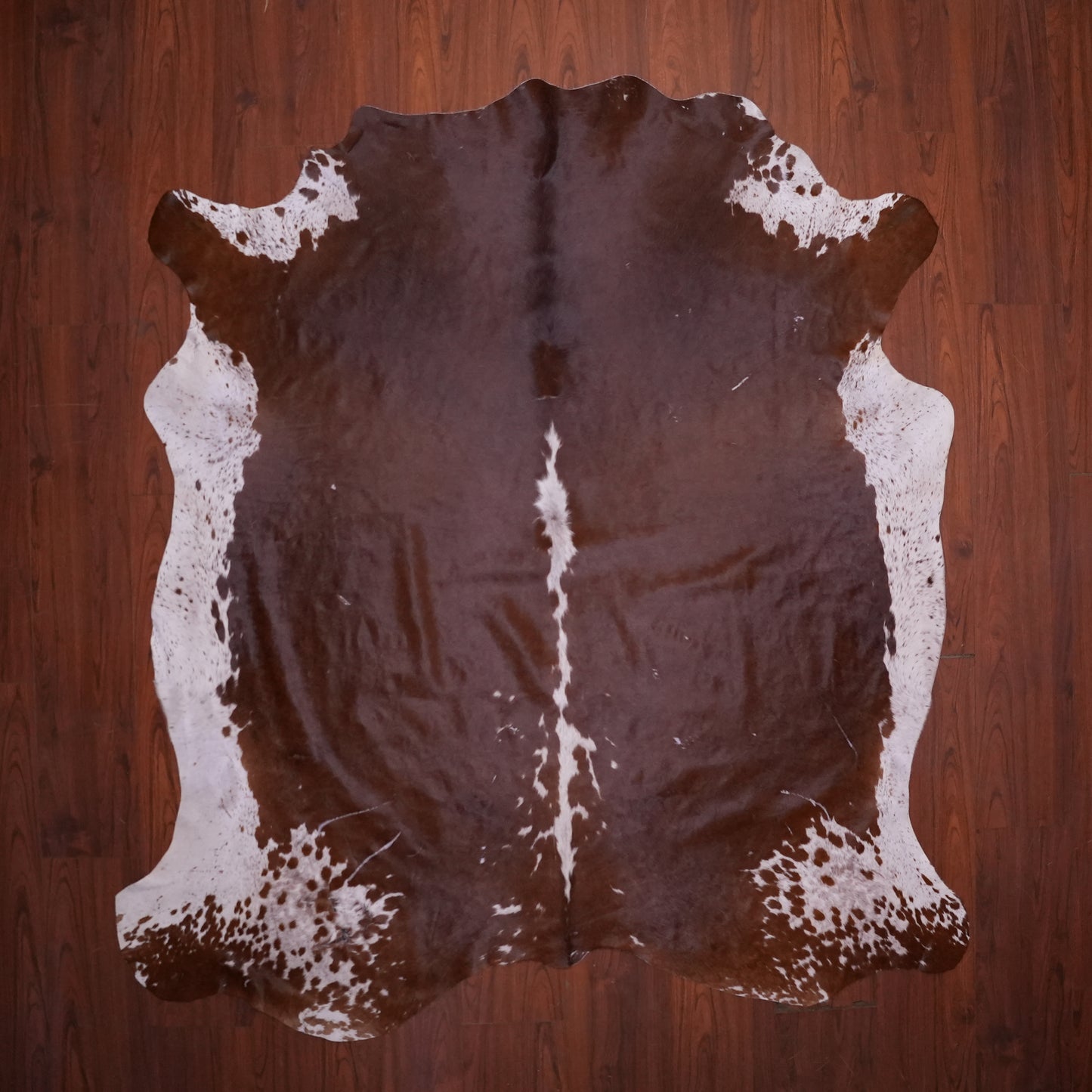 AS Grade Nguni Hide 604 (Brown/White) (L)