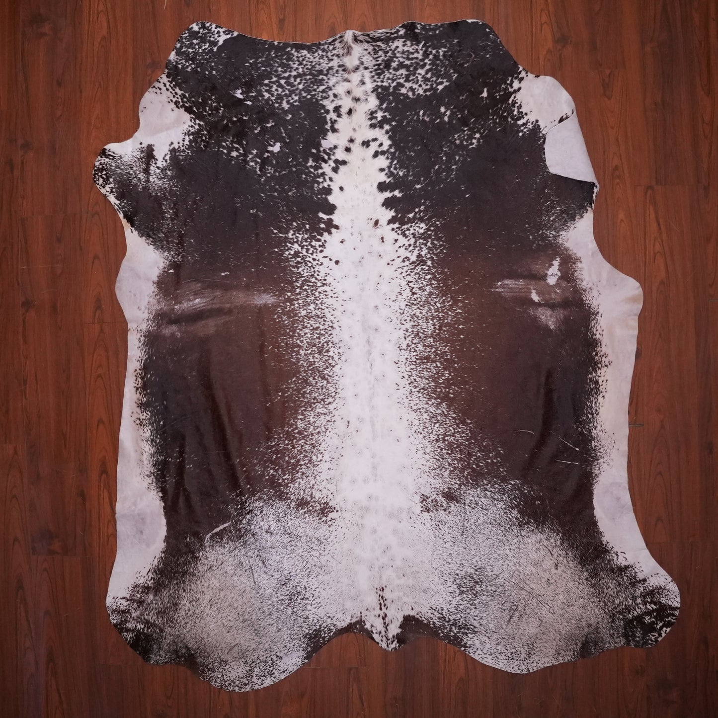 AS Grade Nguni Hide 600 (Brown/White) (XL)