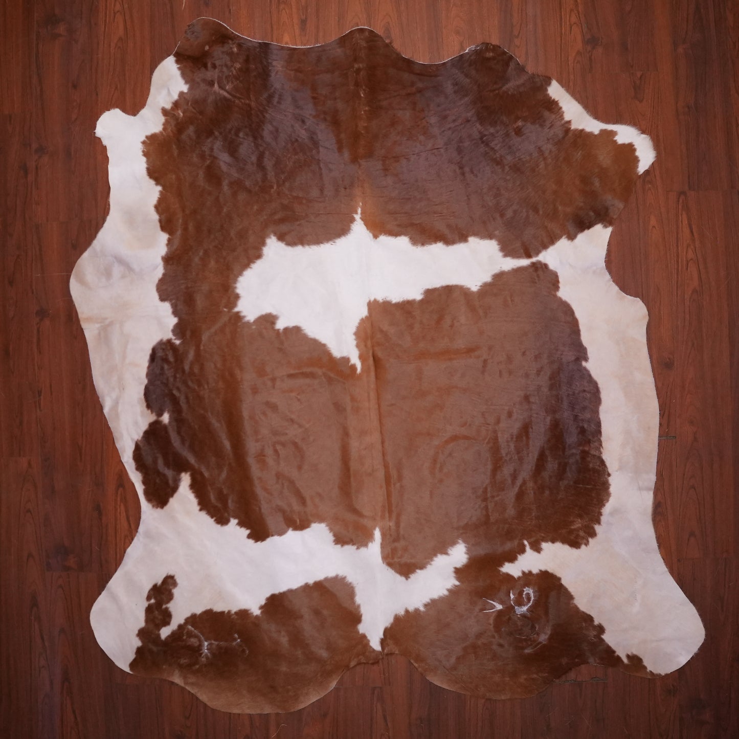 A Grade Nguni Hide 598 (Brown/White) (XL)
