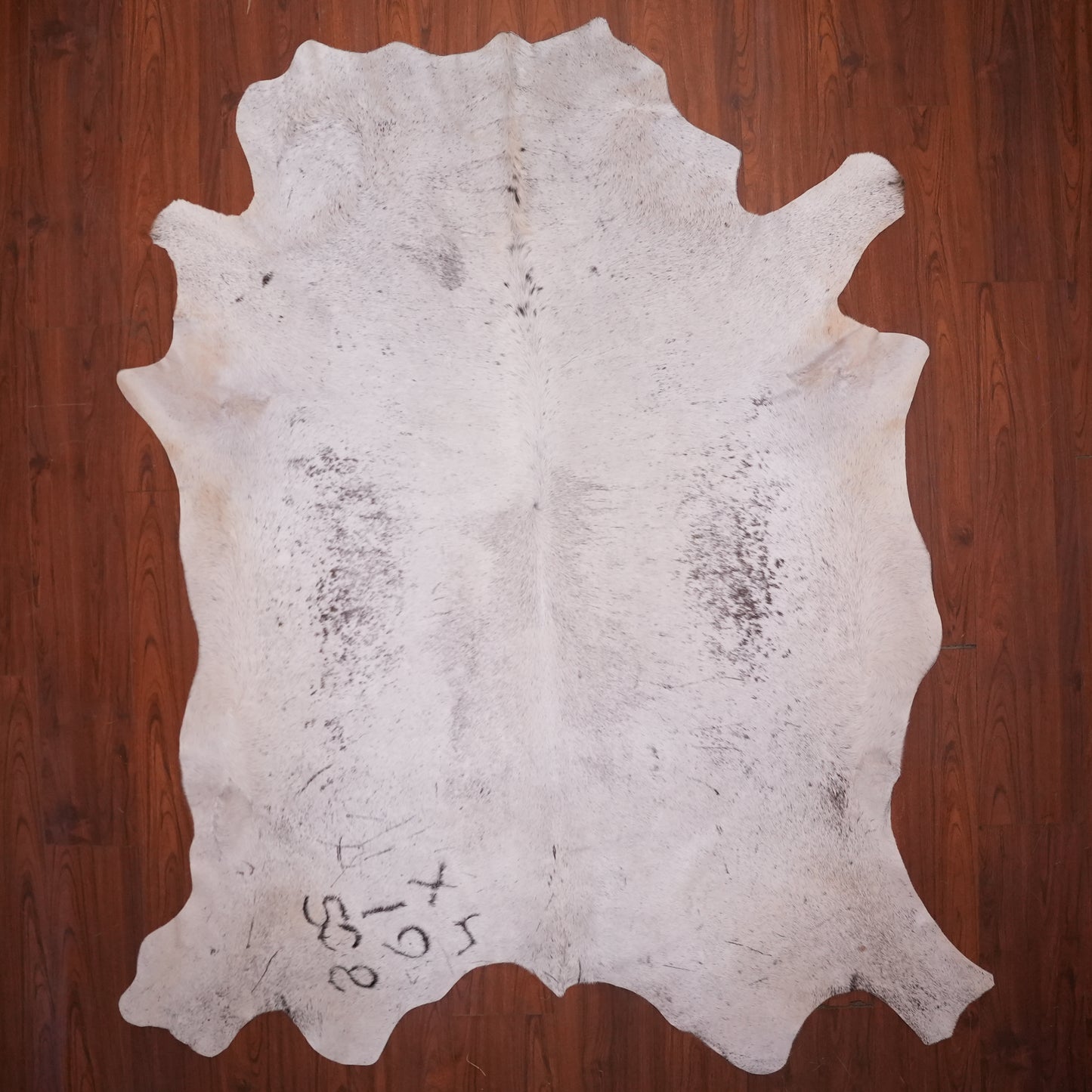 AS Grade Nguni Hide 602 (Brown/White) (XL)