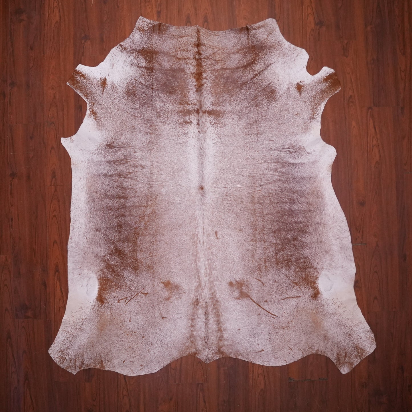 AS Grade Nguni Hide 633 (Brown/White) (L)