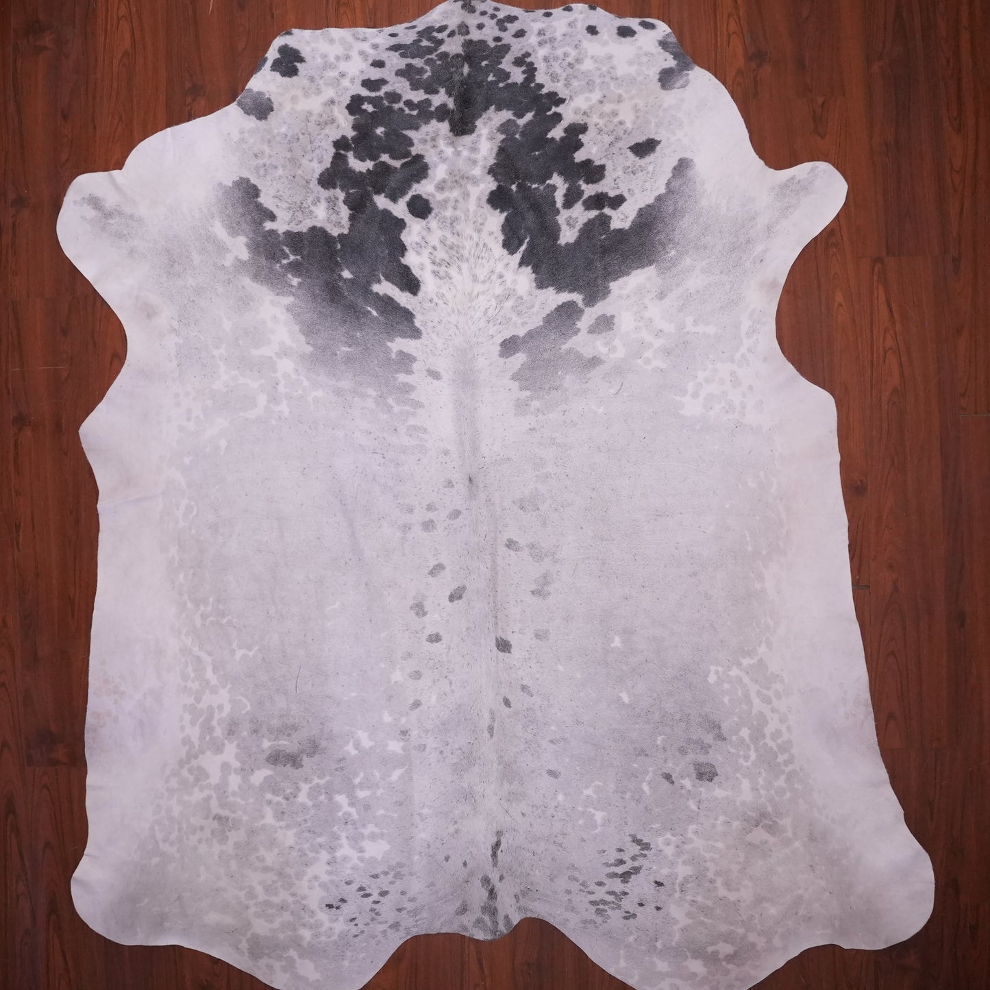 AS Grade Nguni Hide 631 (Gray) (XL)