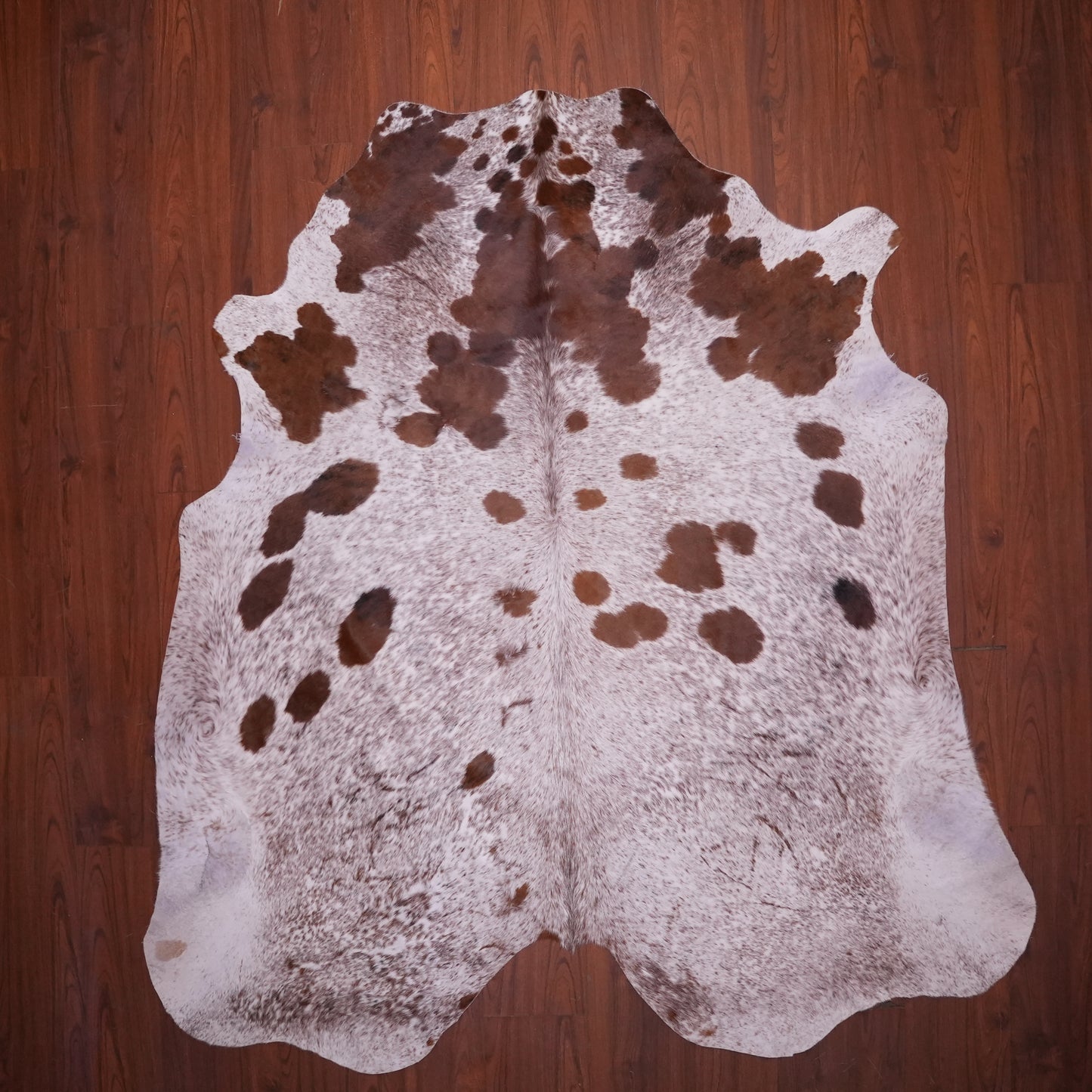 AS Grade Nguni Hide 632 (Tricolor) (L)