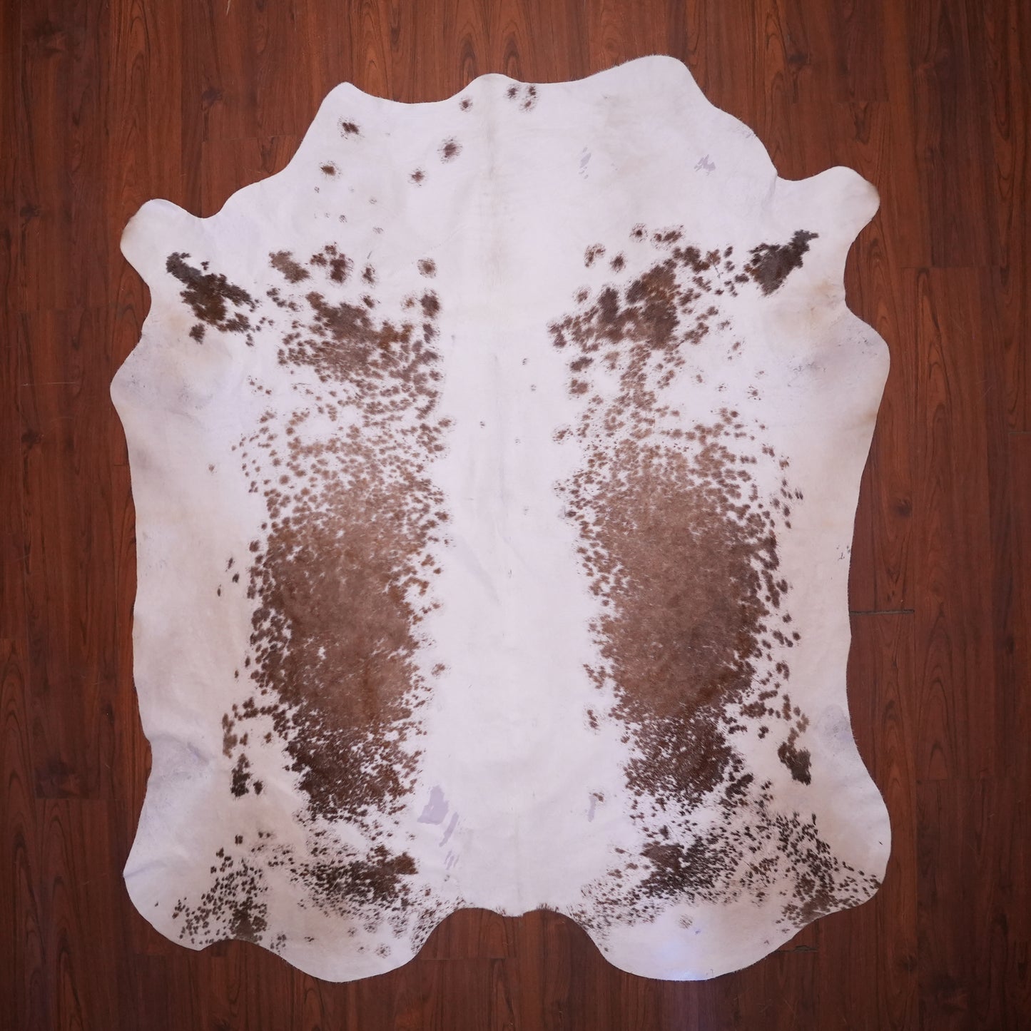 BS Grade Nguni Hide 621 (Brown/White) (M)