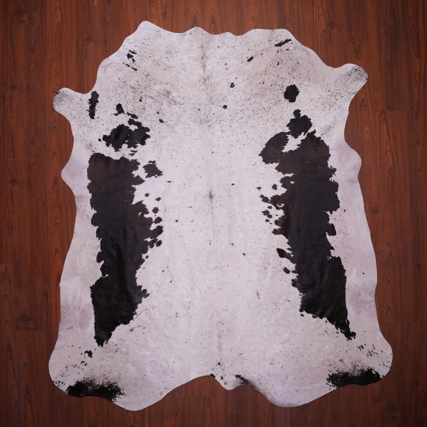 AS Grade Nguni Hide 618 (Brown/White) (XL)