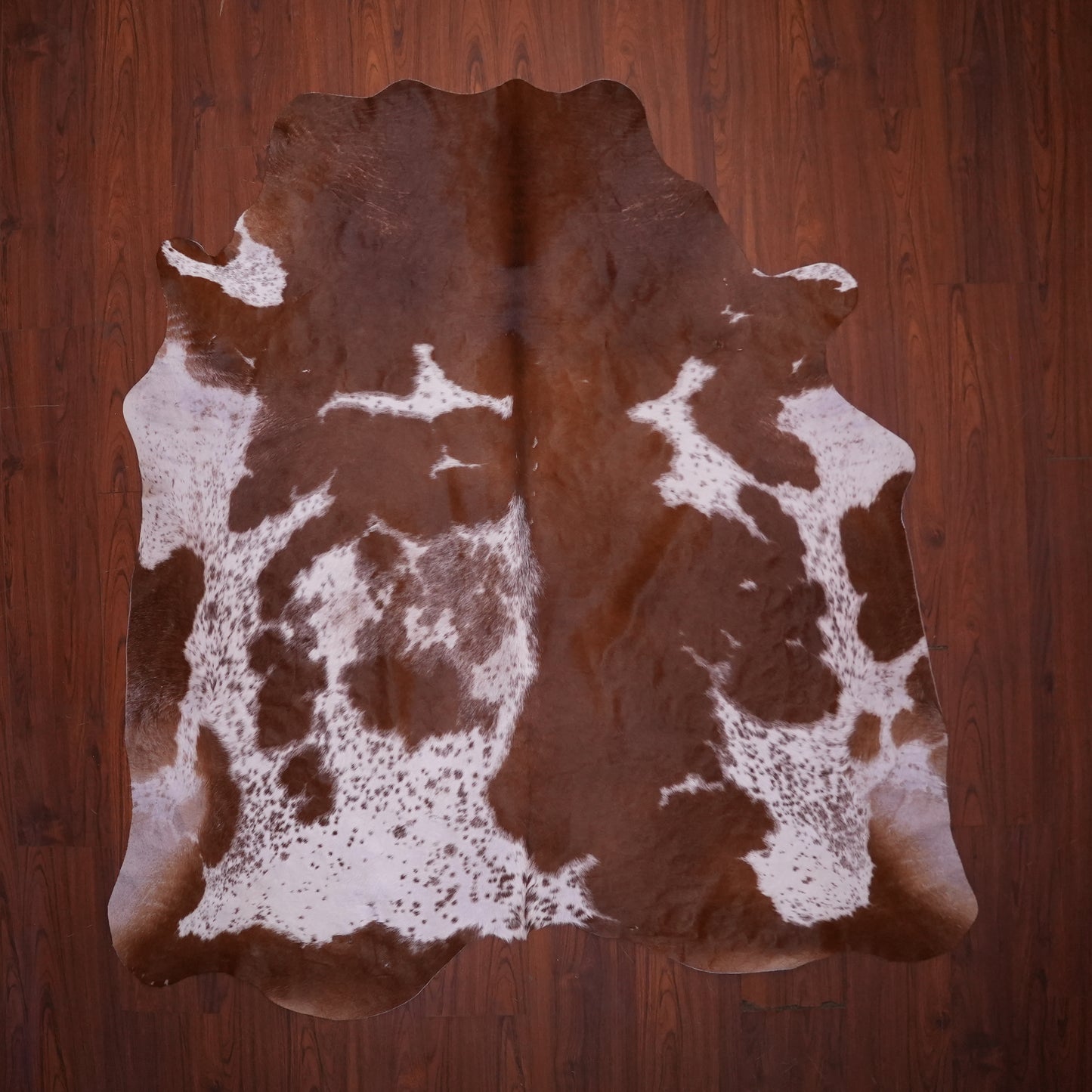 AS Grade Nguni Hide 613 (Brown/White) (M)