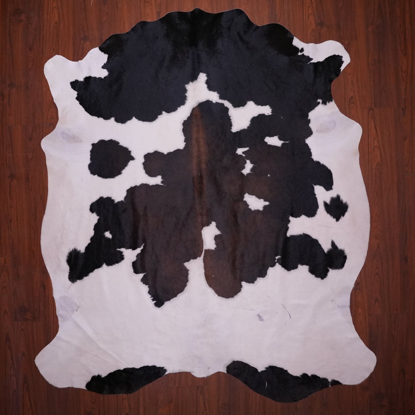 BS Grade Nguni Hide 612 (Tricolor) (XL)