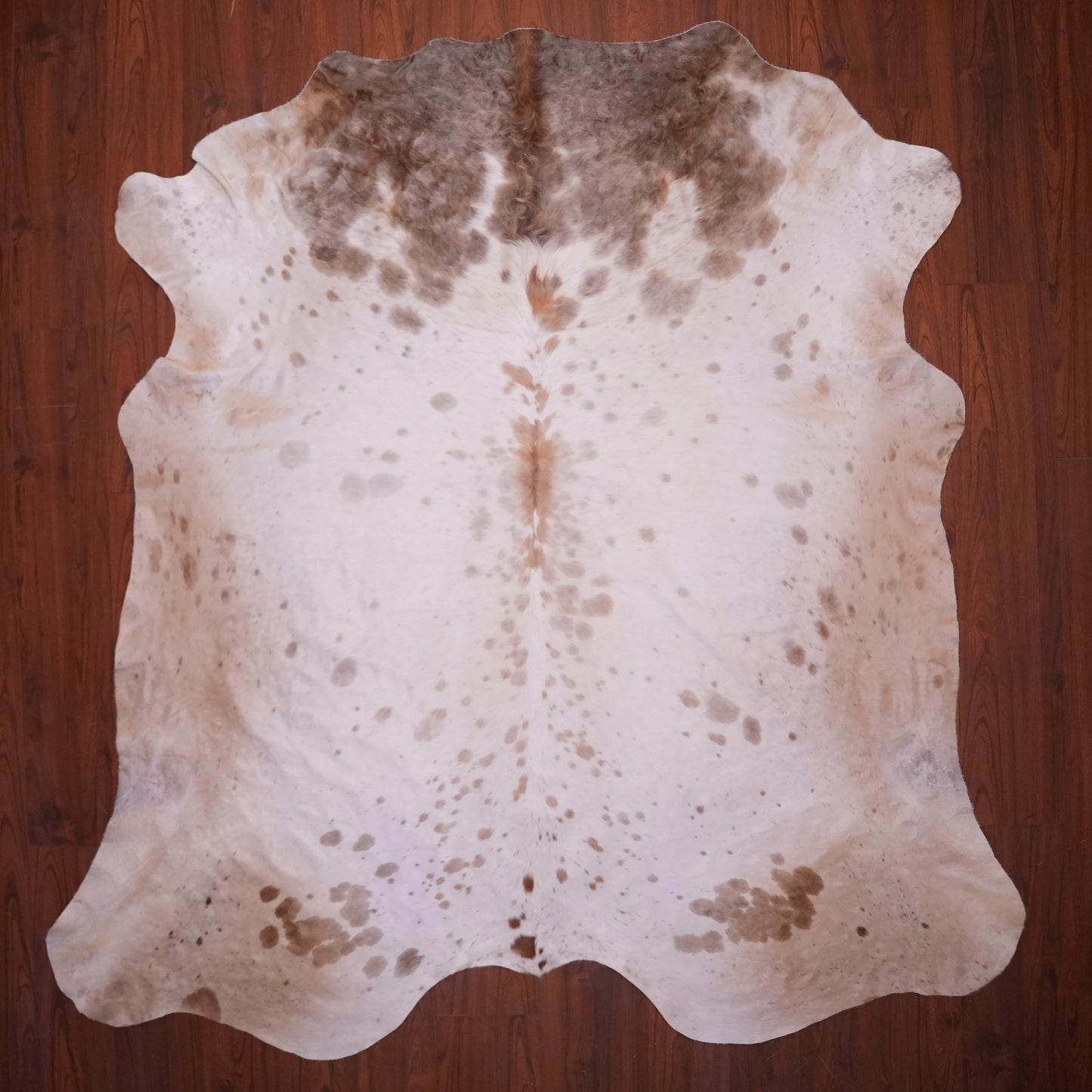 AA Grade Nguni Hide 626 (Brown/White) (XL)