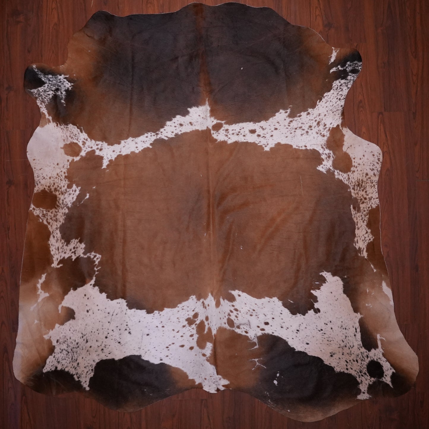 AS Grade Nguni Hide 640 (Tricolor) (XL)