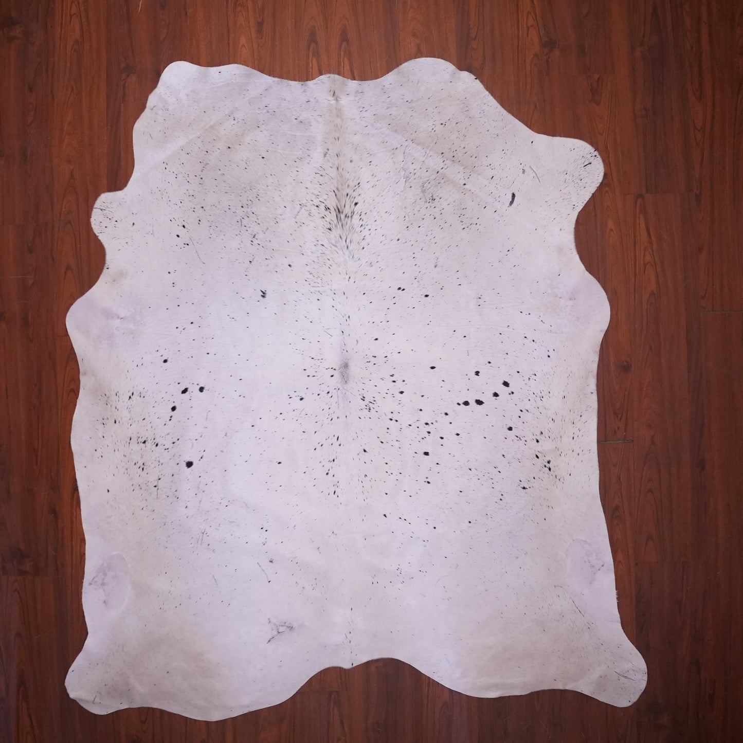A Grade Nguni Hide 642 (Black/White) (L)