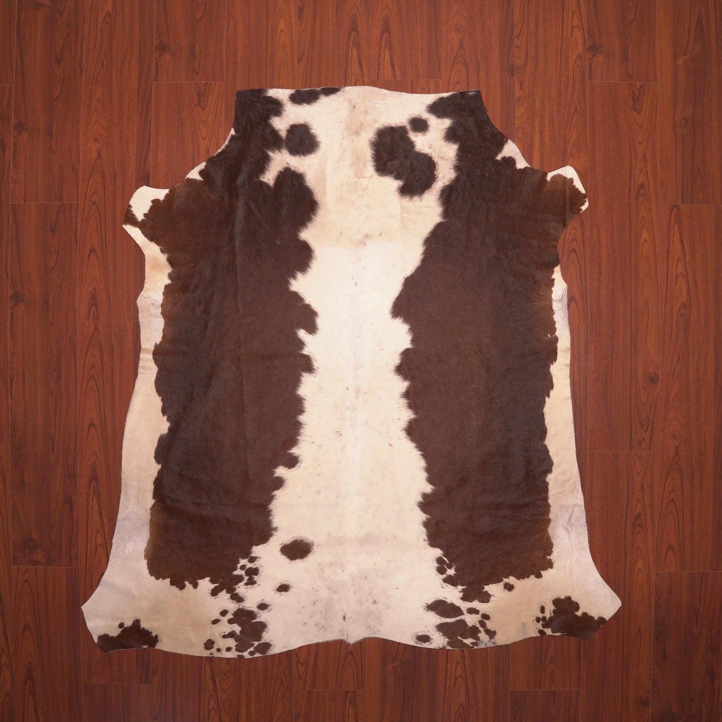 AA Grade Nguni Hide 259 (Brown/White) (M)