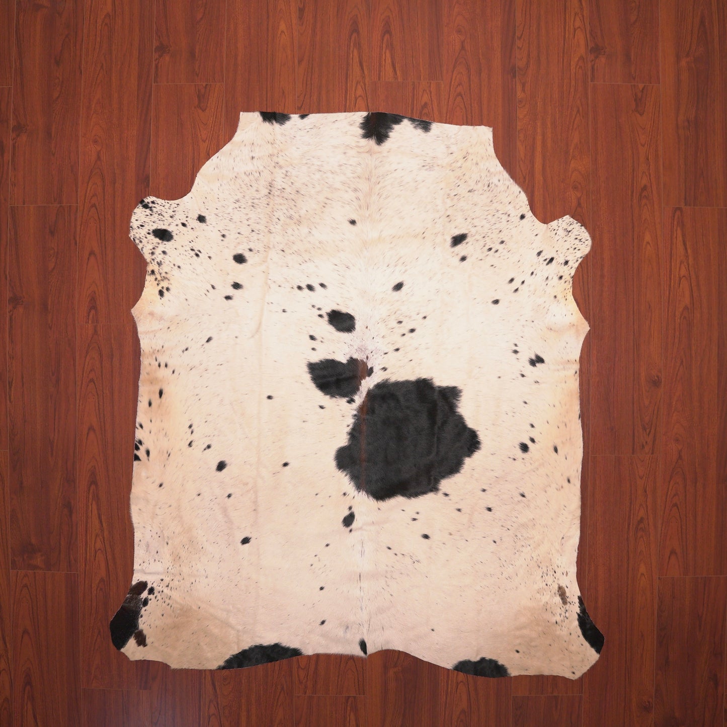 spotted nguni hide cow skin cowhide rug black white