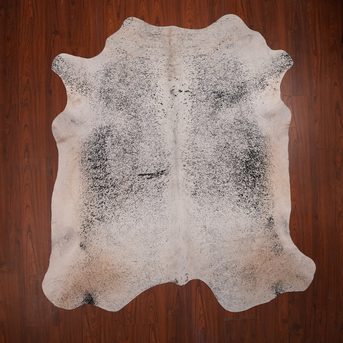 Nguni hide rug in salt-and-pepper black, 214 x 201 cm, genuine Nguni cow hide