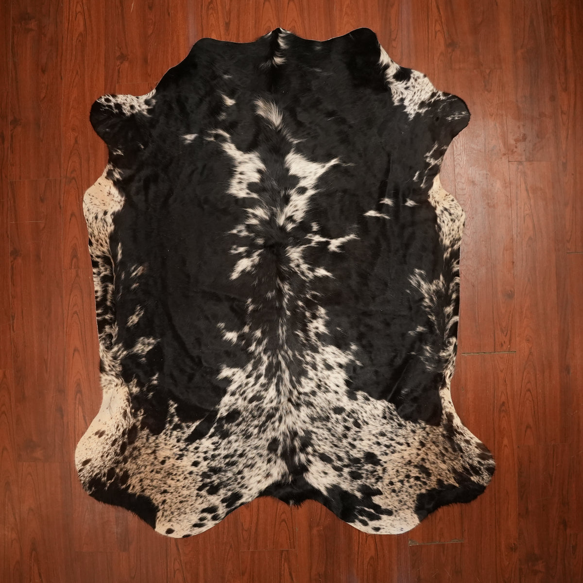 Nguni hide rug in speckled spine black, 219 x 181 cm, genuine Nguni cow hide