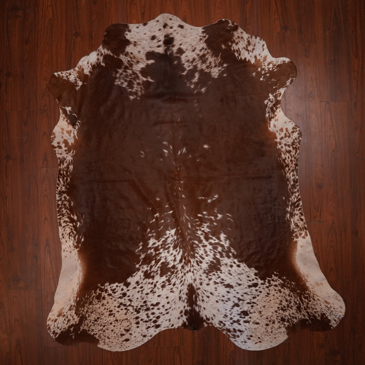 Nguni hide rug in chestnut speckled brown, 222 x 204 cm, genuine Nguni cow hide