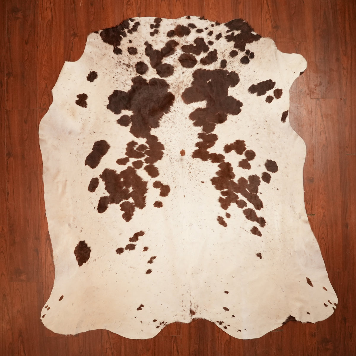 Nguni hide rug in cream-dominant brown, 226 x 217 cm, genuine Nguni cow hide