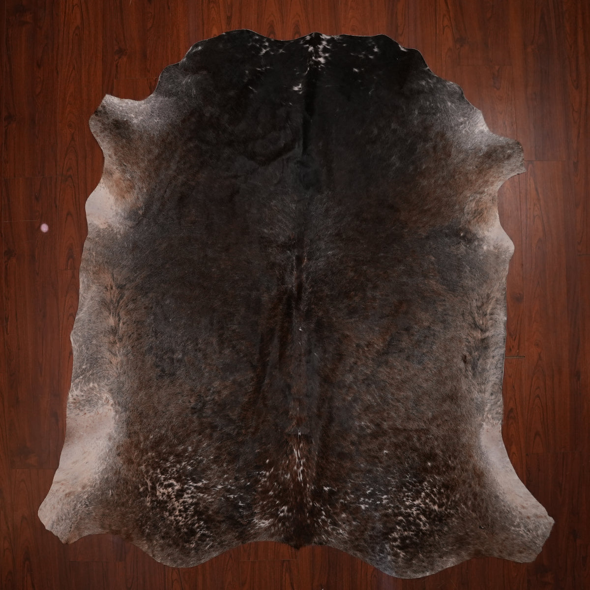 Nguni hide rug in dark espresso brown, 226 x 218 cm, genuine Nguni cow hide