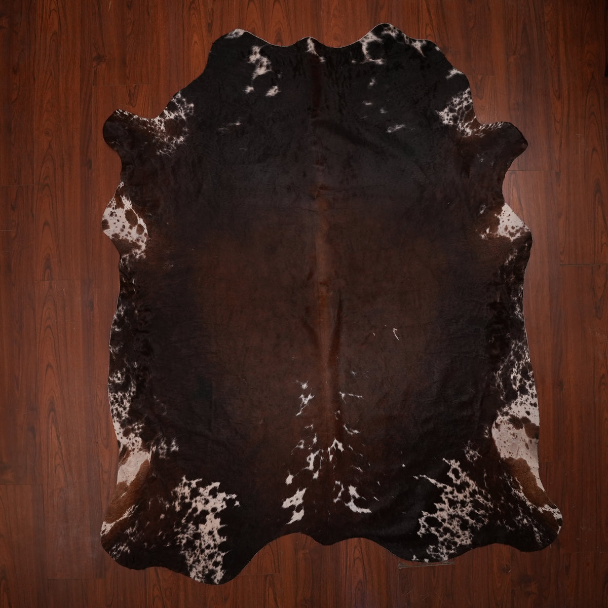 Nguni hide rug in dark espresso brown, 229 x 193 cm, genuine Nguni cow hide