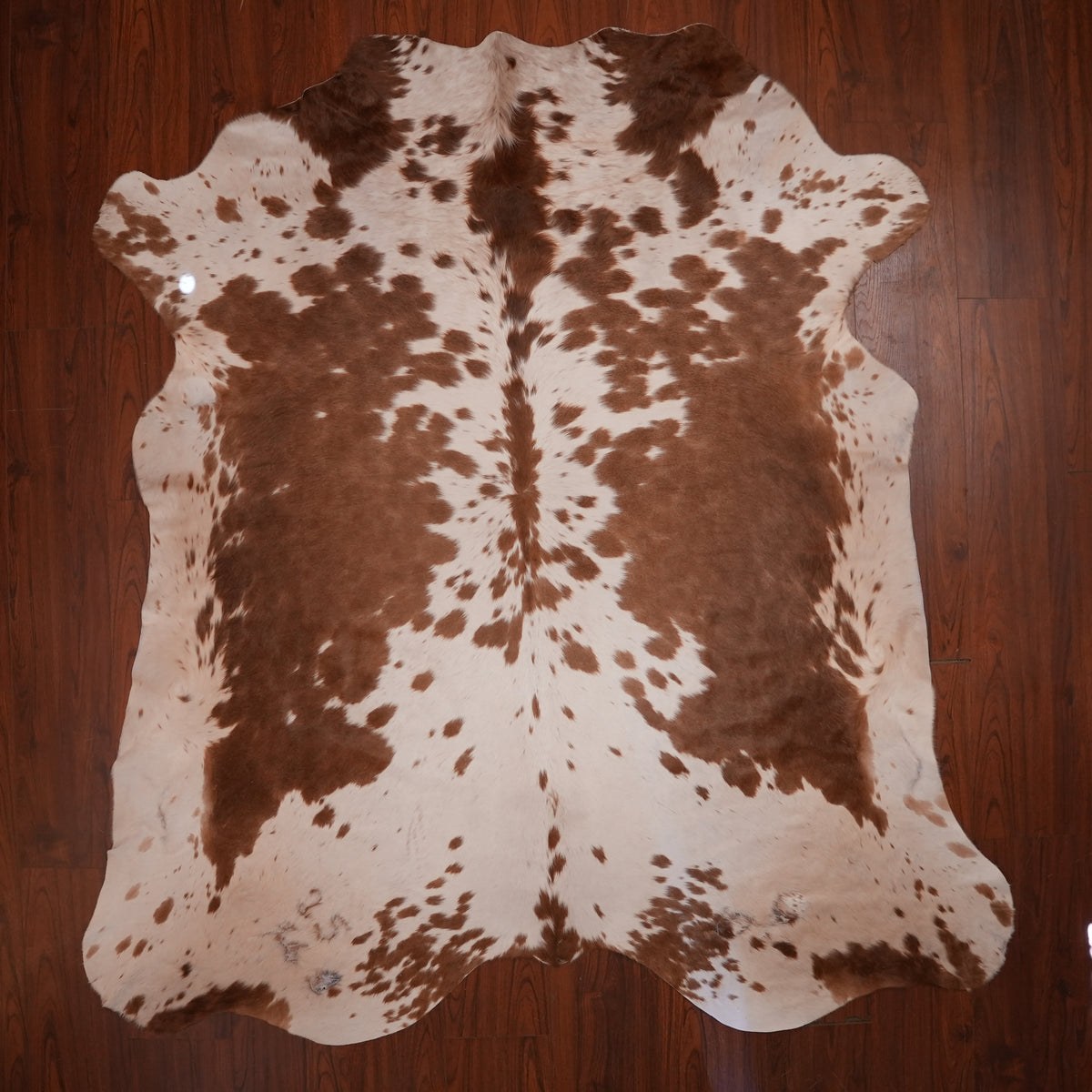 Nguni hide rug in speckled brown, 229 x 212 cm, genuine Nguni cow hide