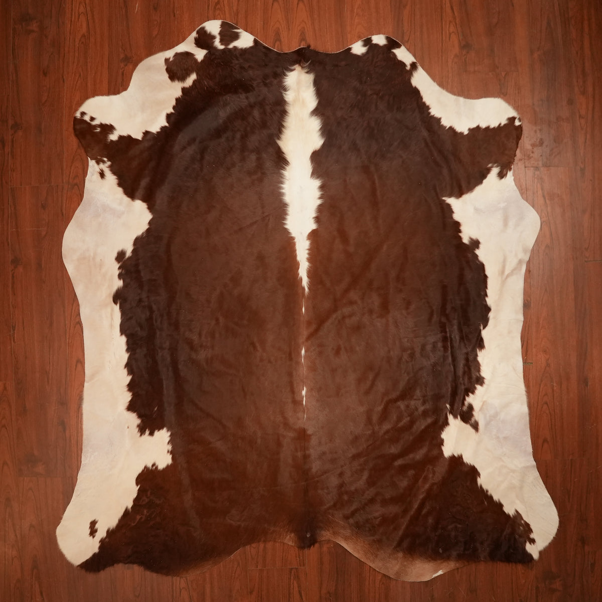 Nguni hide rug in rich chestnut brown, 233 x 213 cm, genuine Nguni cow hide