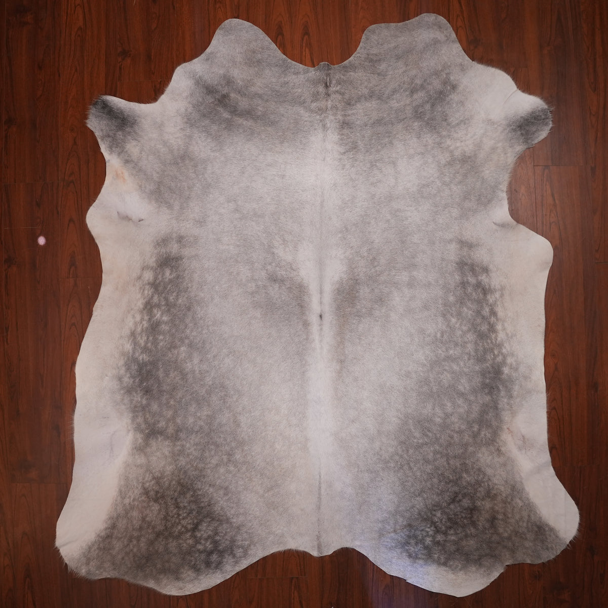 Nguni hide rug in misty dappled grey, 232 x 211 cm, genuine Nguni cow hide