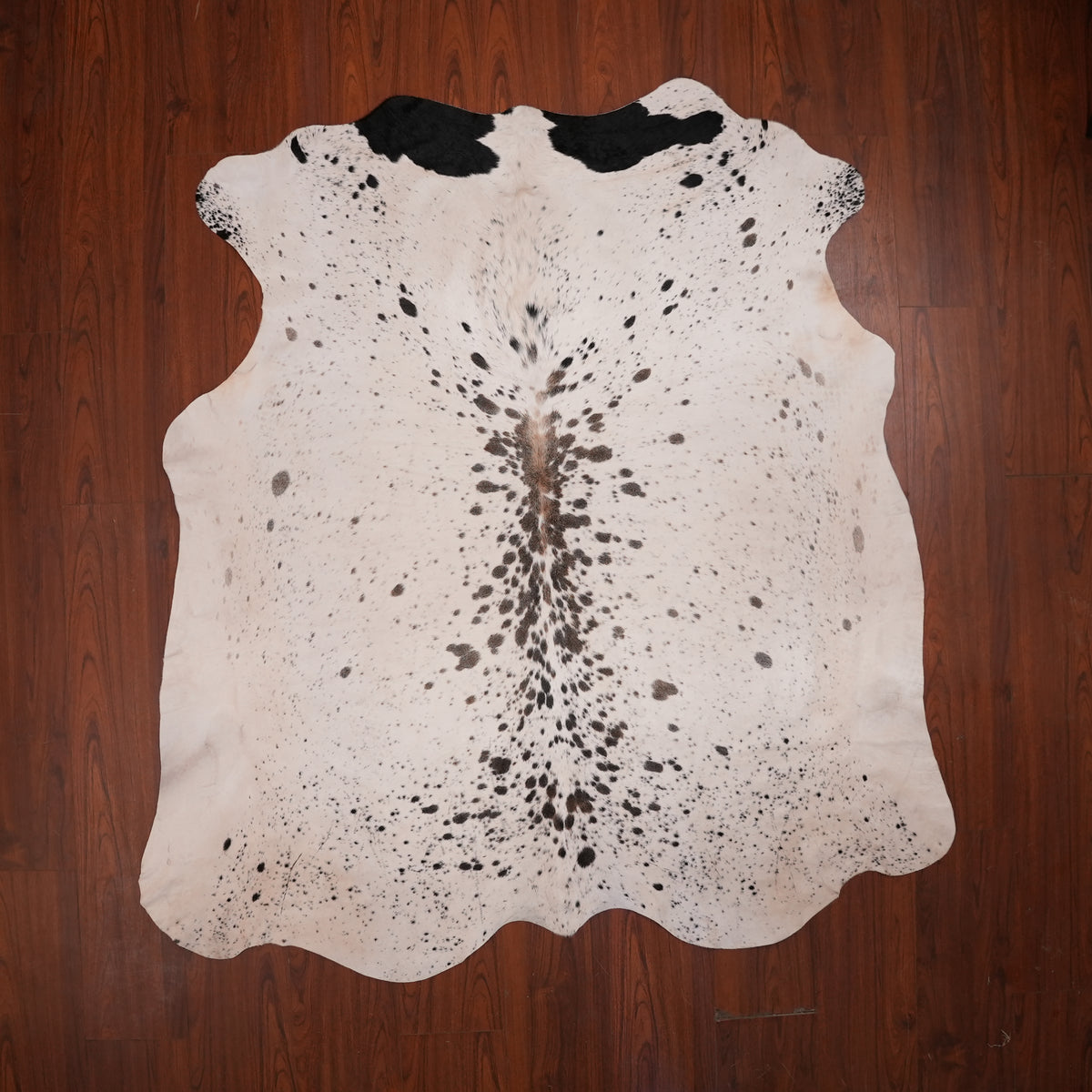 Nguni hide rug in speckled spine tri-colour, 203 x 189 cm, genuine Nguni cow hide
