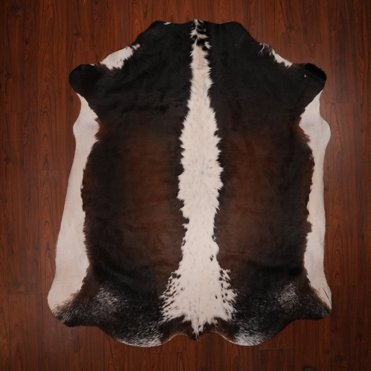 Nguni hide rug in spine-striped tri-colour, 216 x 189 cm, genuine Nguni cow hide
