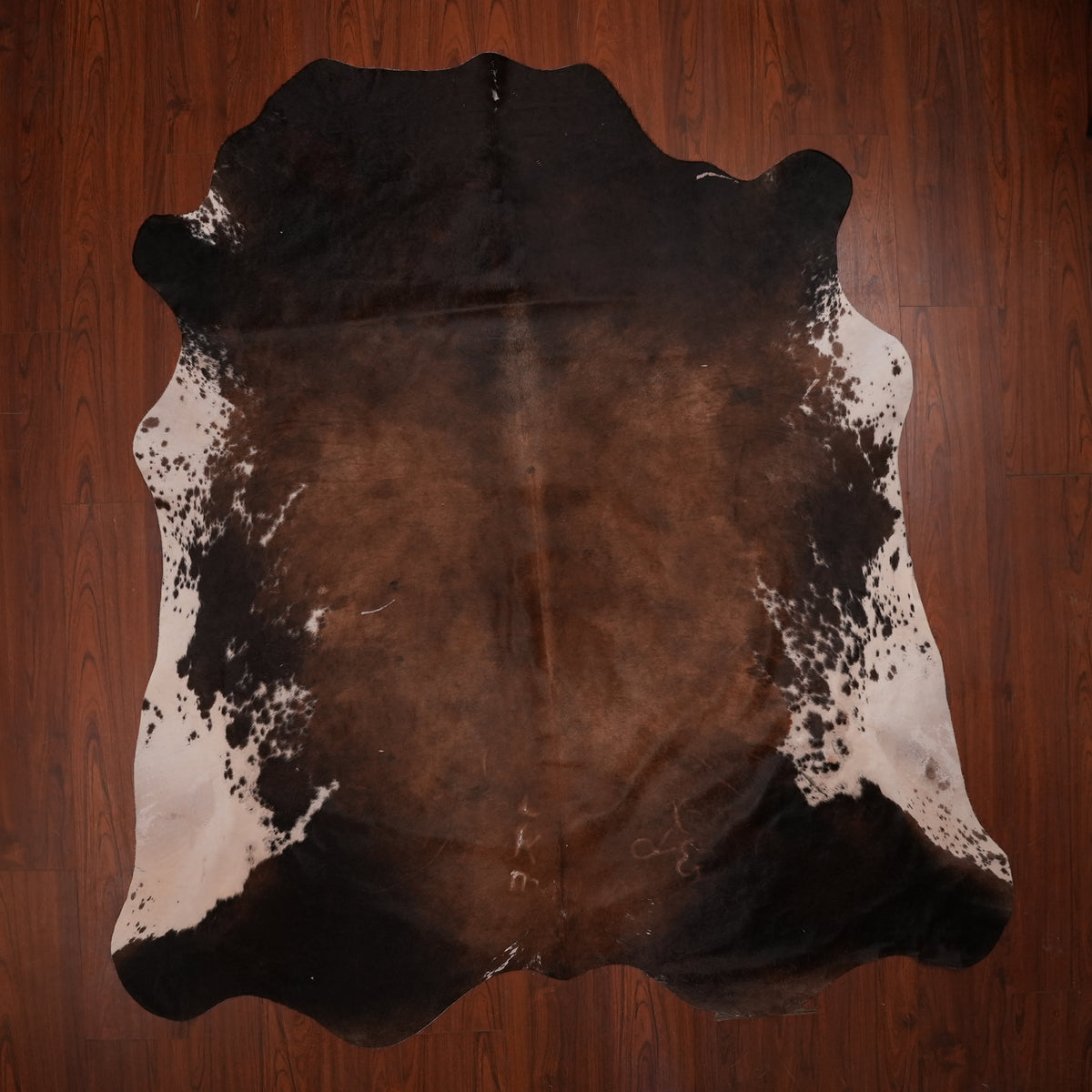 Nguni hide rug in speckled flanks tri-colour, 226 x 208 cm, genuine Nguni cow hide