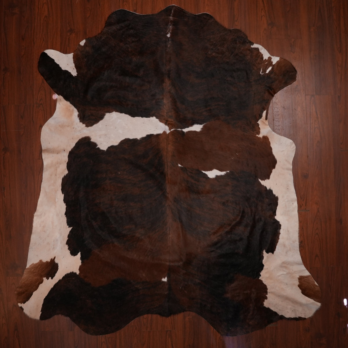 Nguni hide rug in dark brindle tri-colour, 237 x 219 cm, genuine Nguni cow hide