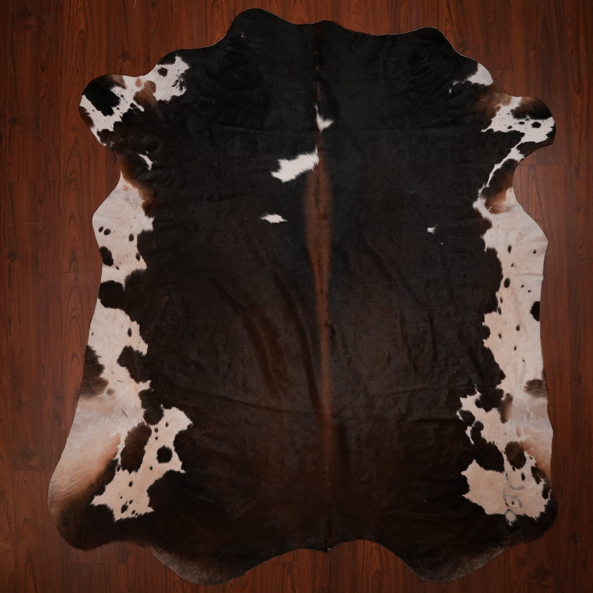 Nguni hide rug in dark espresso tri-colour, 243 x 214 cm, genuine Nguni cow hide