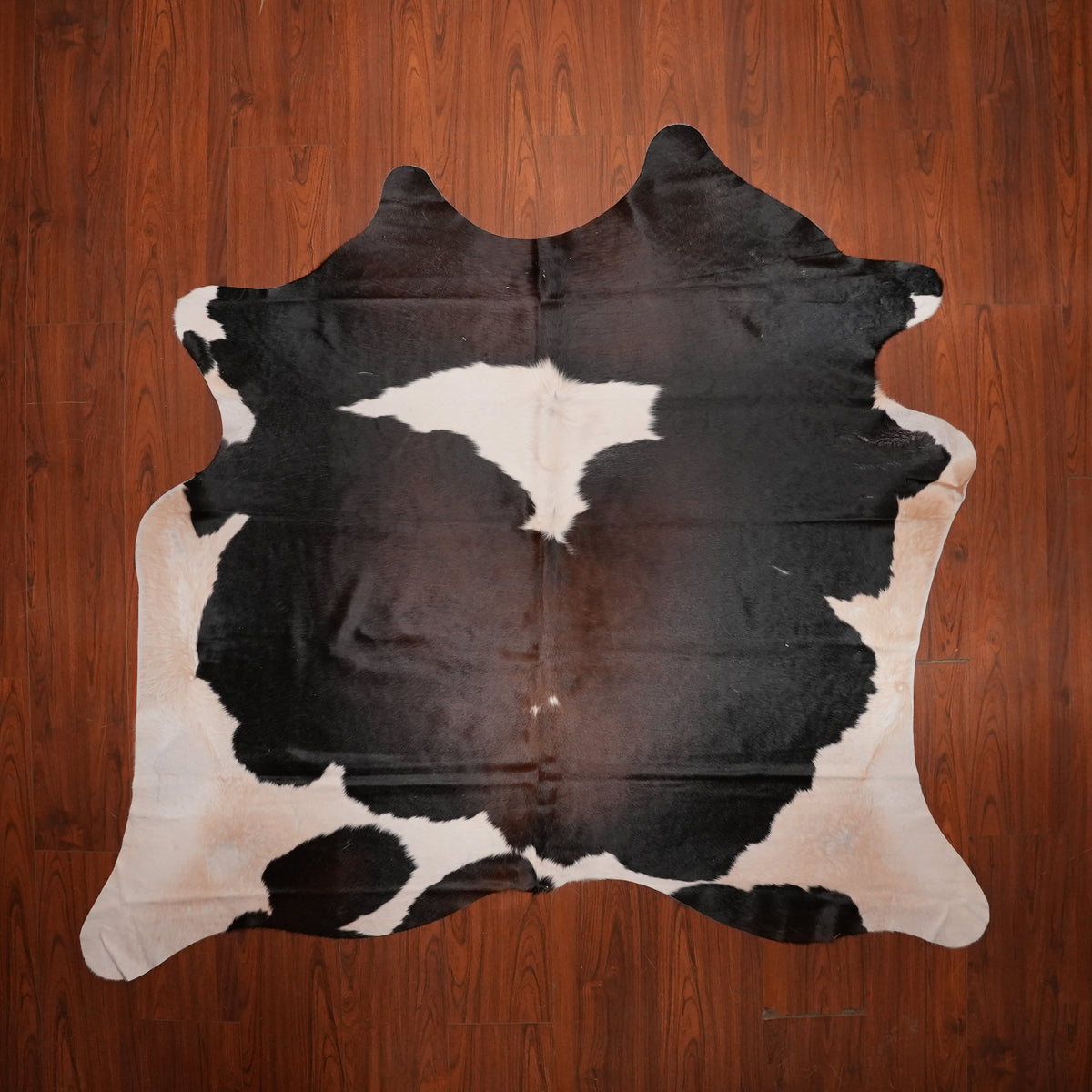 High-Contrast Tri-colour cow hide rug, 201 x 210 cm, genuine cowhide