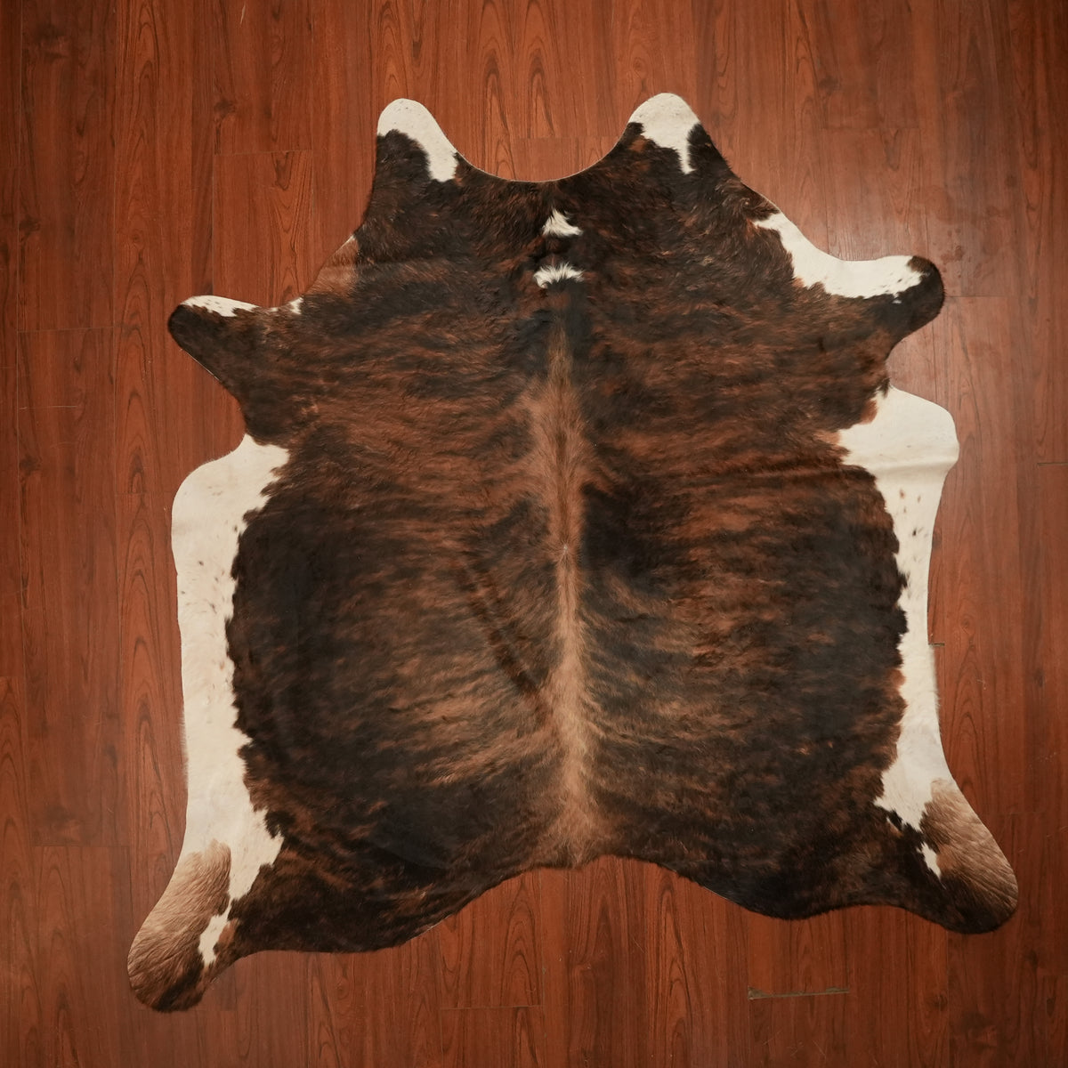Dark Brindle Tri-colour cow hide rug, 211 x 210 cm, genuine cowhide