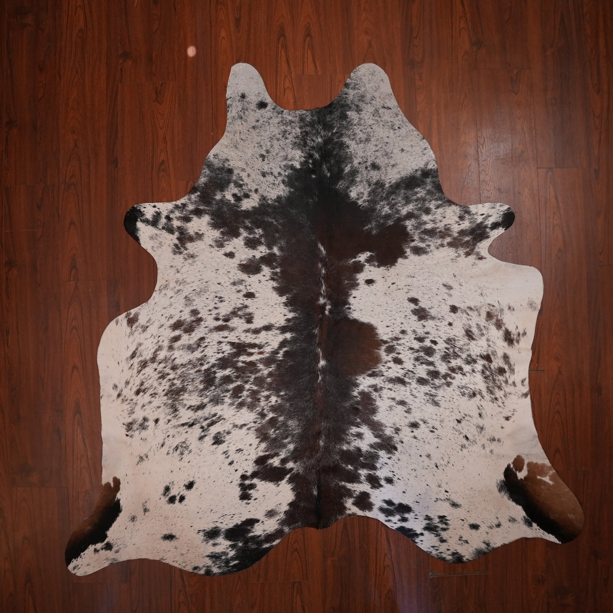 Speckled Spine Tri-colour cow hide rug, 212 x 219 cm, genuine cowhide