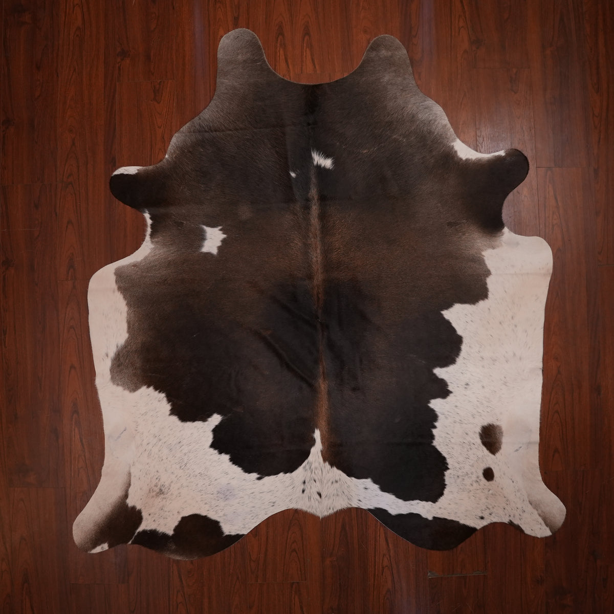Dark Chocolate Tri-colour cow hide rug, 214 x 196 cm, genuine cowhide