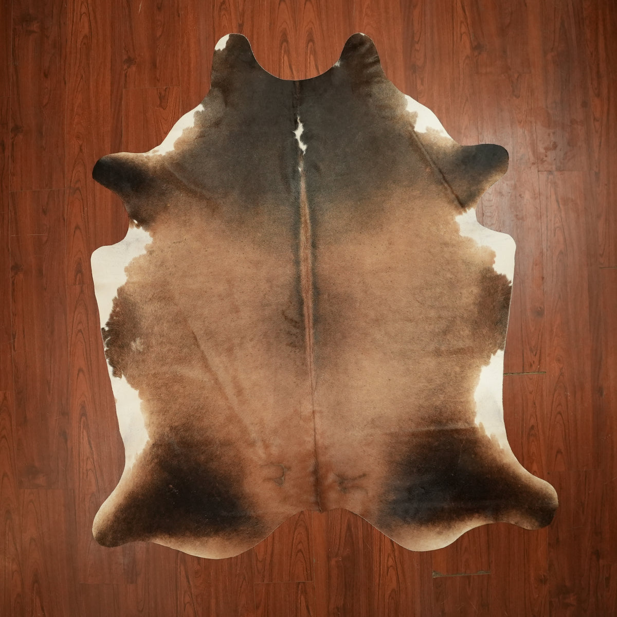 Warm Gradient Tri-colour cow hide rug, 215 x 188 cm, genuine cowhide