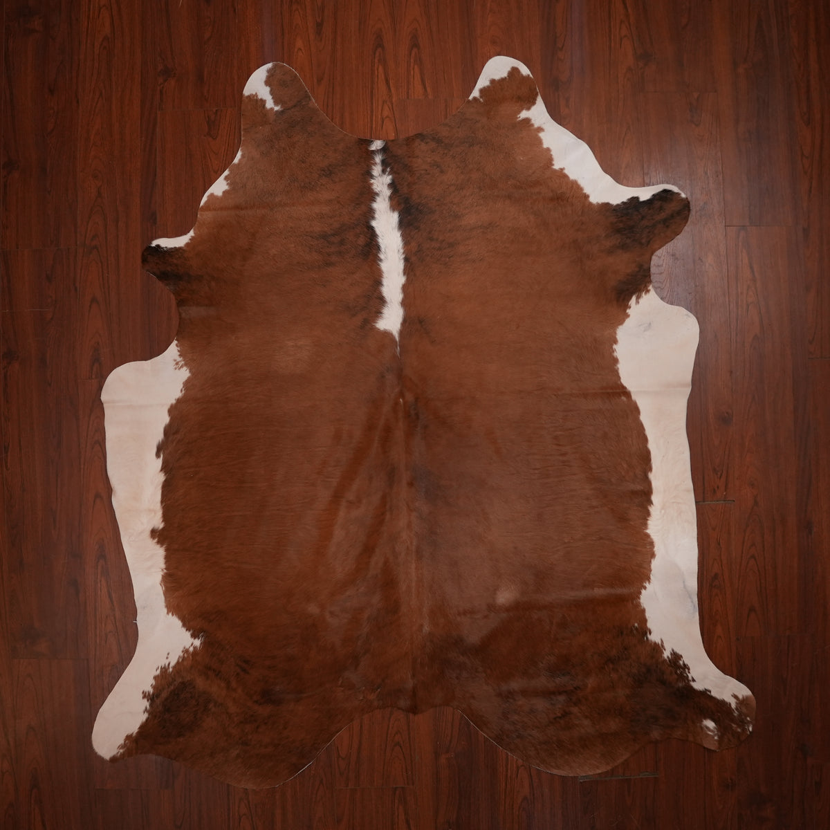 Rich Chestnut Tri-colour cow hide rug, 215 x 198 cm, genuine cowhide