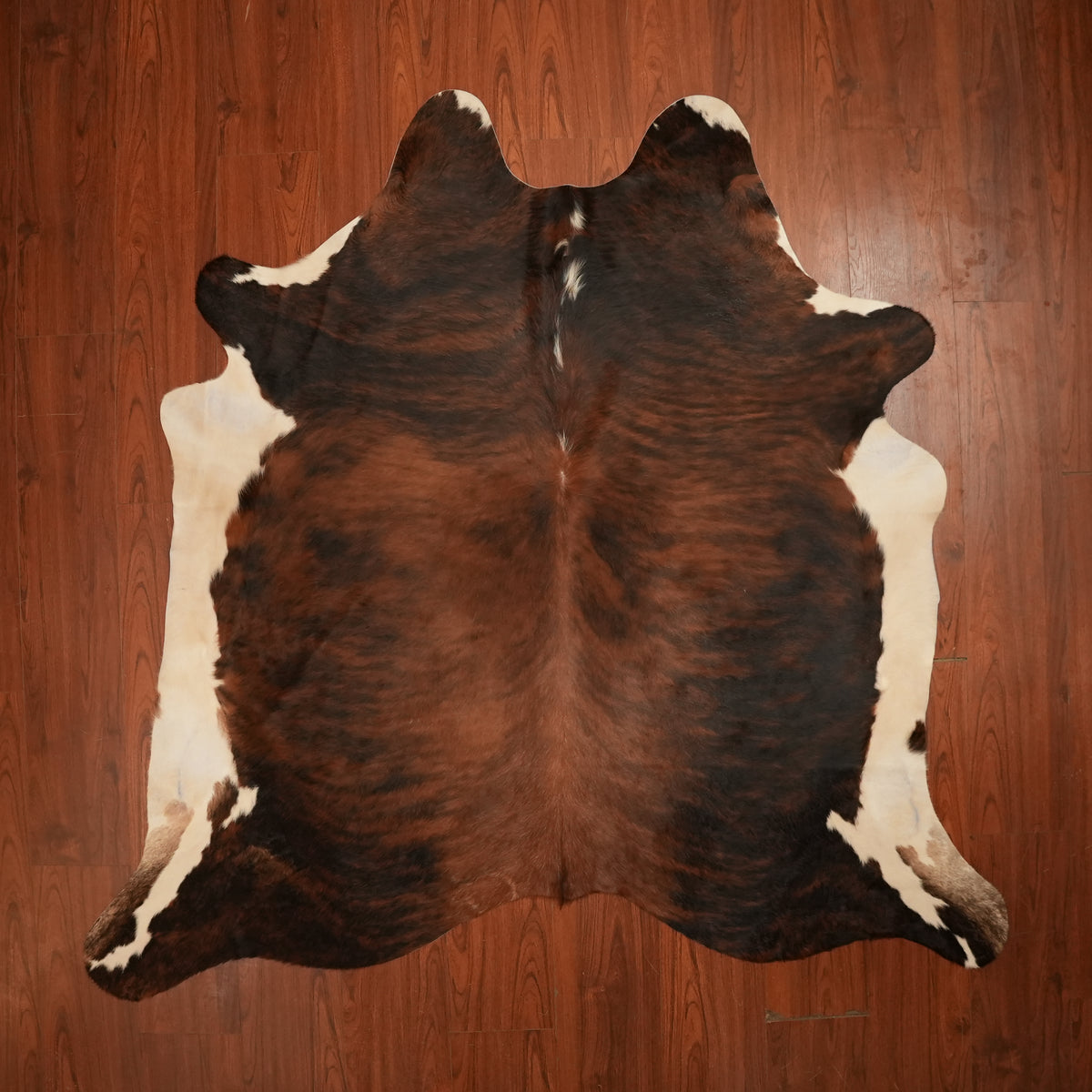 Dark Brindle Tri-colour cow hide rug, 215 x 212 cm, genuine cowhide