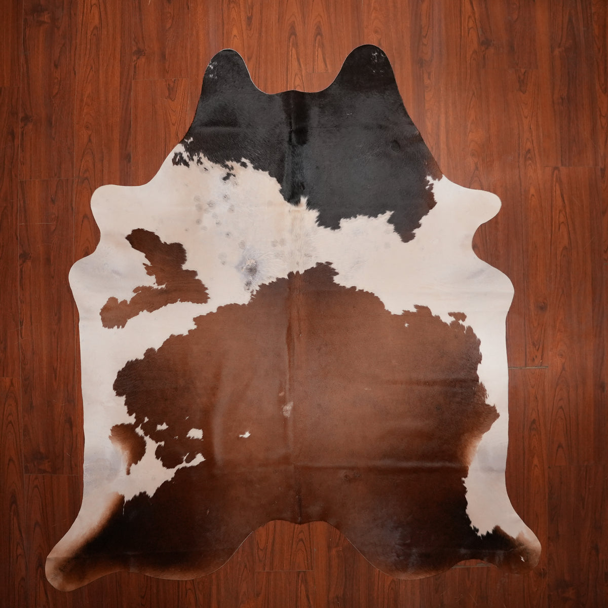 Bold Patchwork Tri-colour cow hide rug, 235 x 204 cm, genuine cowhide